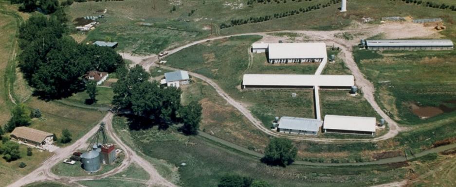 Facility Overview 1 gestation/farrowing building 2 farrowing rooms