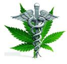 have medical marijuana laws: Alaska Arizona Arkansas California Colorado Connecticut Delaware Florida Hawaii