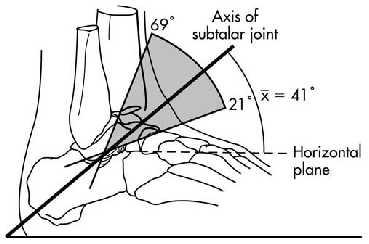 hinge connecting the talus and calcaneus The axis in the transverse plane deviates approx.