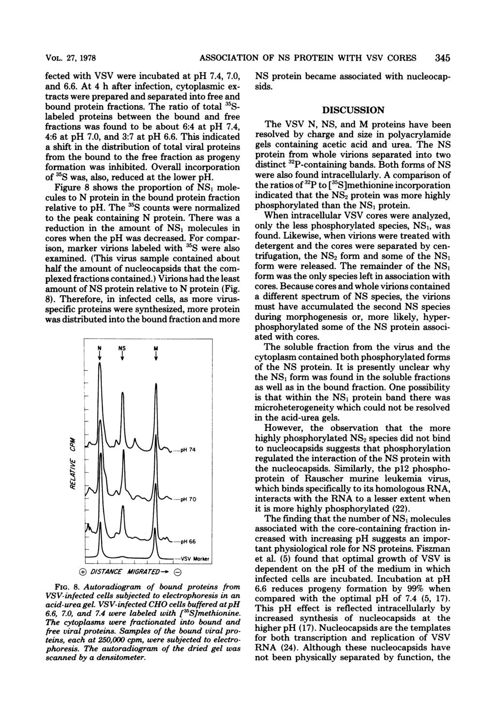 VOL. 27, 1978 fected with VSV were incubated at ph 7.4, 7.0, and 6.6. At 4 h after infection, cytoplasmic extracts were prepared and separated into free and bound protein fractions.