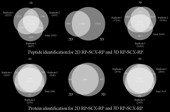 of unique peptide (15523 vs. 26391) 70.0% increase No. of proteins (2985 vs. 3613) 17.