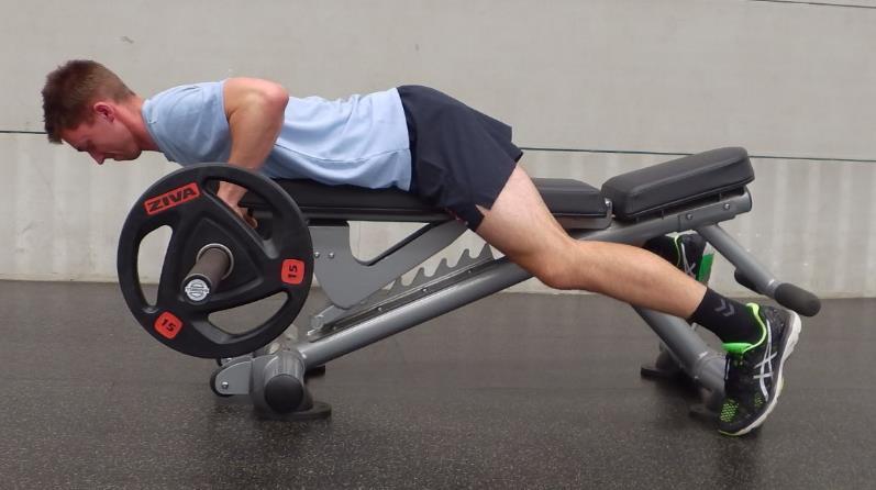 Page 14 of 21 BENCH PULL - Have the chest, hips and thighs in contact with a bench. The feet can be elevated throughout the exercise.