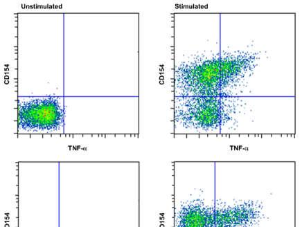 Cell culture supernatants were collected after 4h of restimulation and analyzed via flow cytometry for cytokine secretion using the MACSPlex Cytokine 10 Kit, mouse.