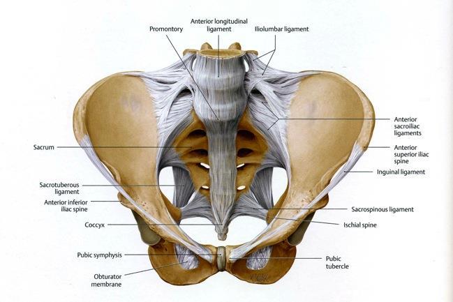 joint Posterior