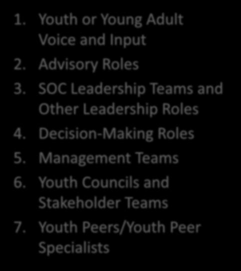 1. Youth or Young Adult Voice and Input 2. Advisory Roles 3.