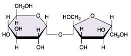 Carbohydrates 6. disaccharides are double suga