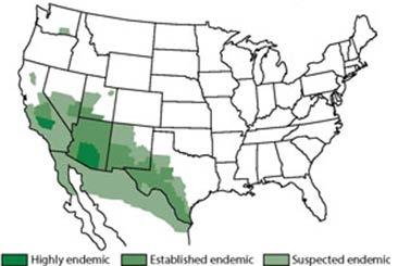Introduction Valley fever, also known as coccidioidomycosis, is an infection caused by the fungus Coccidioides spp. It has affected inhabitants of the Southwestern desert of the U.S. for thousands of years.