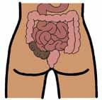 1. Eat the right food Eating the right food can help your body stay healthy stop constipation.
