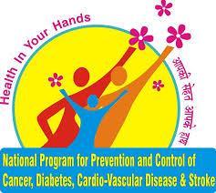 National Program for Prevention and Control of Cancer, Diabetes, Cardiovascular Diseases and Stroke (NPCDCS) Developed by Government of India, 2008 Strategies: Health promotion for the general