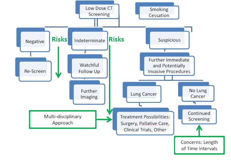 Counseling Patients Lung   ALA Executive Summary