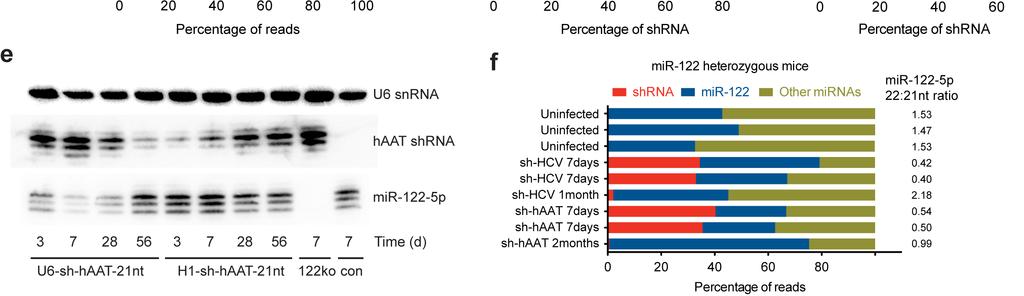 Supplementary Figure 6 Analysis of small RNA sequencing reads derived from shrnas compared to micrornas at later time points post-raav transduction.
