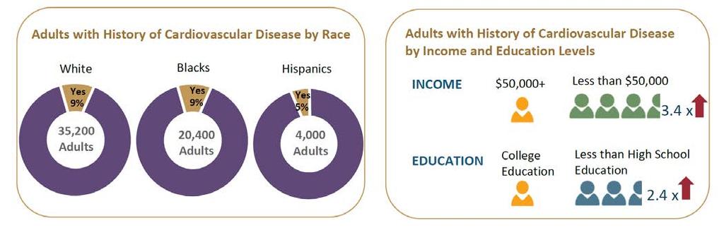 For some chronic diseases, social and economic determinants may have a greater impact on overall health status than race or ethnicity alone.