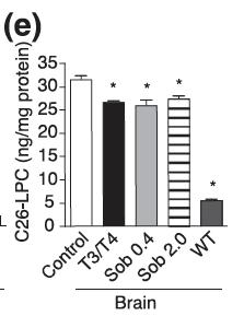 NV1205 Upregulates ABCD2 Gene and Lowers VLCFA in Brains ABCD2 Expression in Brain after 2 Weeks Systemic Tx VLCFA Reduction after 12 weeks of oral administration in ABCD1 KO mice * NV1205 enters