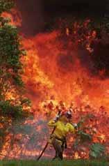 A POTENTIAL PROBLEM PROGRAM D : Presentation Title Environmental conditions (fuel load, terrain, temp, humidity) Demands of bushfire Physiological capability Considerations - Fitness -Health -