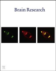 brain research 1481 (2012) 13 36 Available online at www.sciencedirect.com www.elsevier.