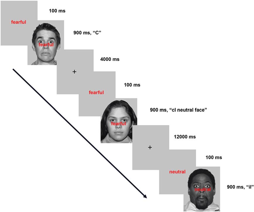 14 brain research 1481 (2012) 13 36 Fig. 1 Facial Stroop task. Subjects responded via button-press whether a face was neutral or fearful in emotion.