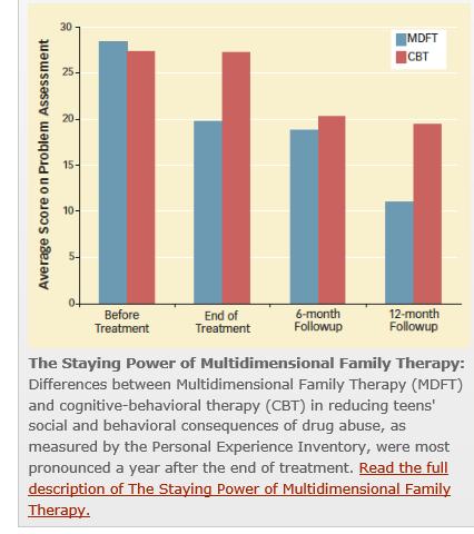 In Family Therapy, Adolescent drug abuse is viewed as a complex phenomenon in which personal issues, interpersonal relationships, overall family functioning, and social forces must all be addressed