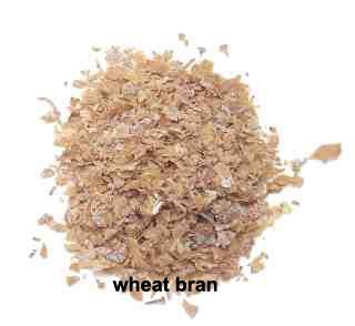 Wheat bran exploitation Wheat bran Stabilization (close