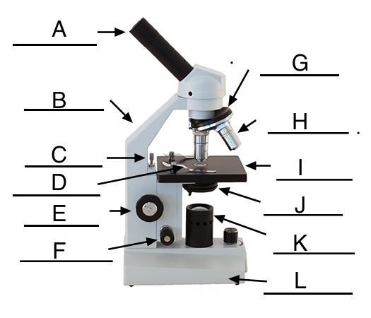 STATION 4: 17) What type of microscope is this? 18) Which letter(s) is/are involved in determining total magnification?