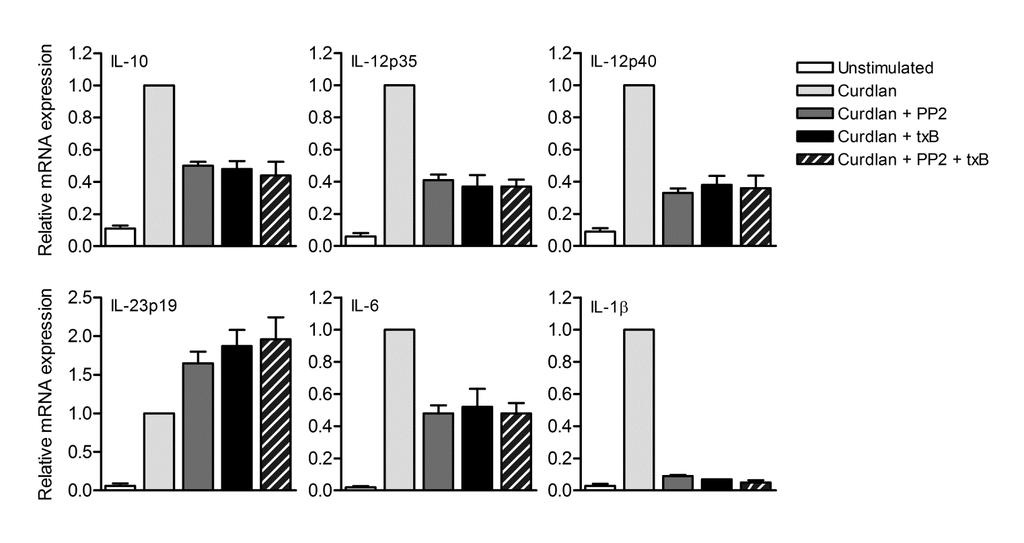 Supplementary Figure 3 Supplementary Figure 3 Dectin-1-mediated cytokine expression requires Syk activation and activation of Src and Pak kinases to control cytokine expression.