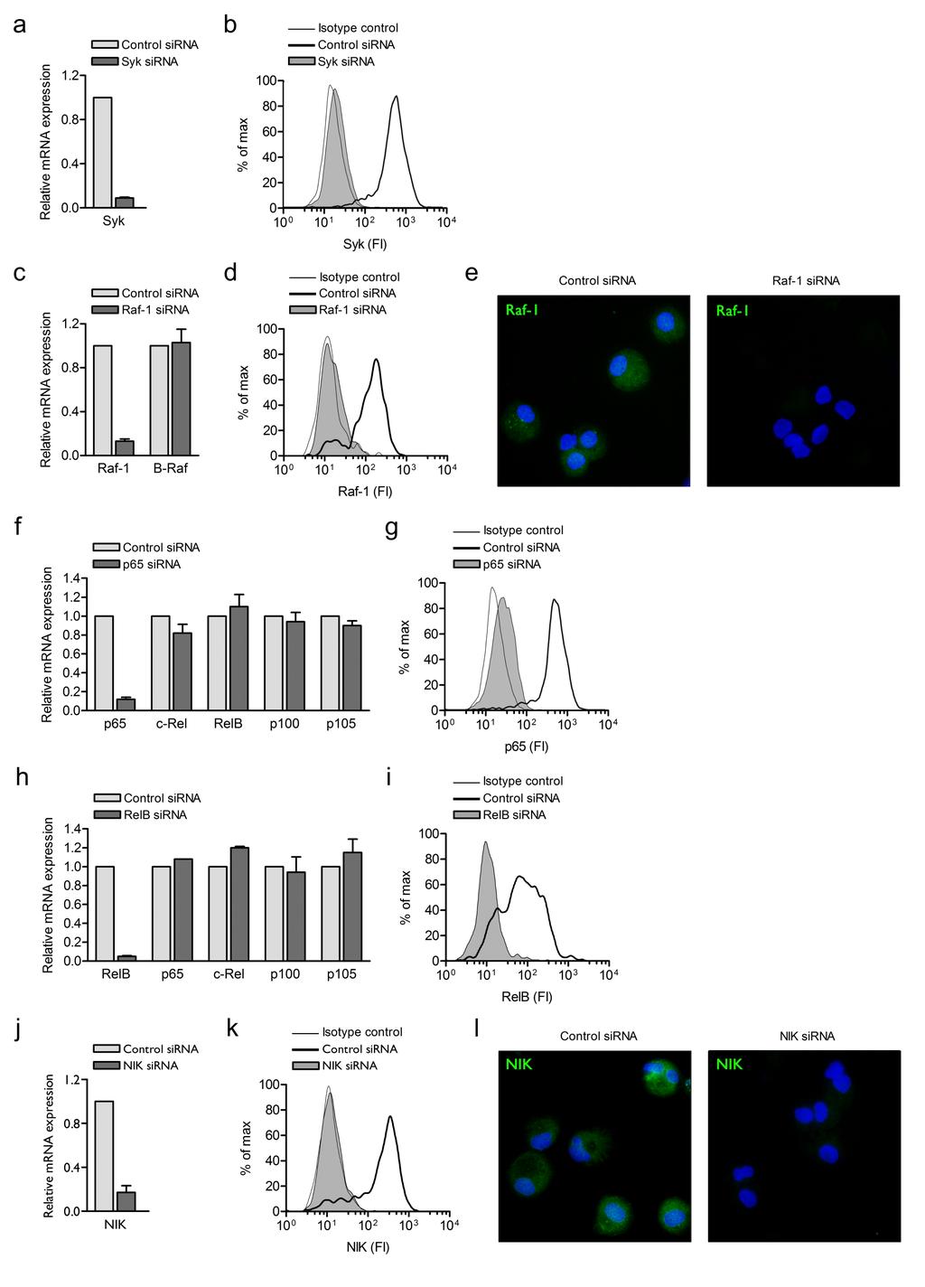 Supplementary Figure 8 Supplementary Figure 8 Silencing of Syk, Raf-1, p65, RelB and NIK in human primary DCs by RNA interference.