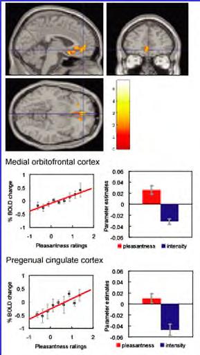 A, B: anterior cingulate; C: amygdala; D: olfactory tubercle Selective attention to affective value alters how the brain processes taste stimuli We delivered the identical taste (MSG) on every trial.