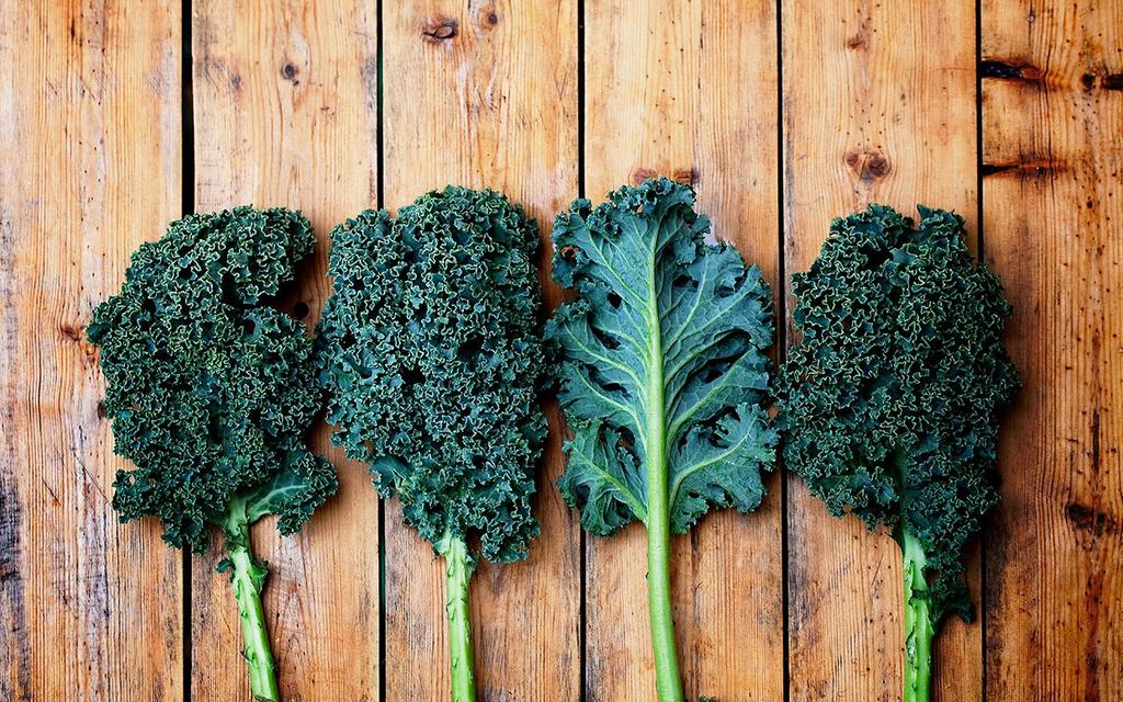 Best Vegetables 4. Kale This leafy vegetable is full of vitamin K, lutein, and vitamin C. Kale is simply one of the most nutritious vegetables on the planet.