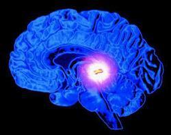 Serotonin Central neurotransmitter Sleep/wakefulness Pain perception Synthesized by
