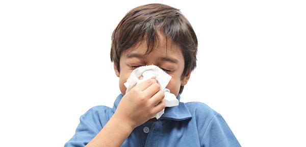 We have also included information regarding what the flu is, signs/symptoms of the flu, complications that can occur from the flu, as well as treatment and prevention strategies for the flu.