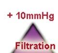Filtration versus Reabsorption 1.
