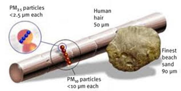 Diesel exhaust particles DEP consist of a carbon core surrounded by trace