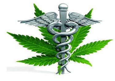 MEDICAL CANNABIS PATIENT COUNSELING