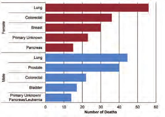 Cypress Regional Health Authority Cancer Mortality Figure 41 shows the top five cancer causes of death in Cypress among females and males for the period 2010-2014.