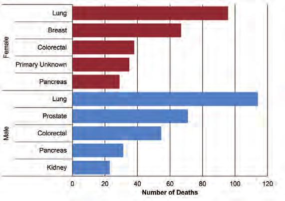 Sunrise Regional Health Authority Cancer Mortality Figure 55 shows the top five cancer causes of death in Sunrise among females and males for the period 2010-2014.