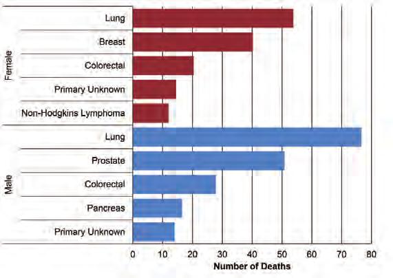 Heartland Regional Health Authority Cancer Mortality Figure 69 shows the top five cancer causes of death in Heartland among females and males for the period 2010-2014.
