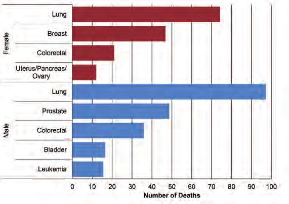 Figure 76: Top Five Cancer Causes of Death in Kelsey Trail by Sex, 2010-2014 The most common cancer death among females was lung cancer (74 deaths), accounting for 29 per cent of all cancer deaths in