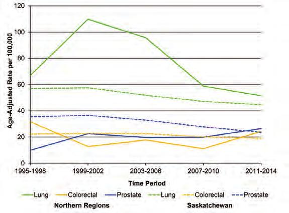 Figure 97: Top Three and Five Cancer Causes of Death in the North by Sex, 2010-2014 The most common cancer death among females was lung cancer (22 deaths), accounting for 26 per cent of all cancer