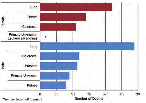 Colorectal (11) was the third leading cause of cancer death, while primary unknown, pancreas, and leukemia came next in a tie (not shown due to small counts).