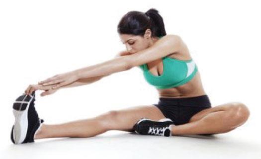 Flexibility 39 Flexibility Ability