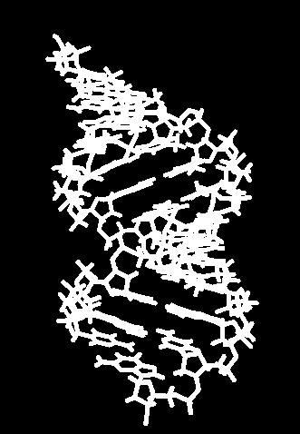 DNA forms a Double Helix shape DNA is arranged in a double helix shape. The up rights of the ladder consist of alternating sugar and phosphate molecules bonded together.