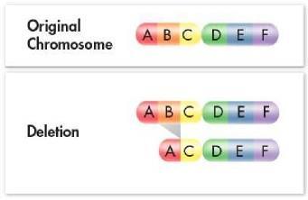 Mutations are caused by a random change in the sequence of bases in the DNA.