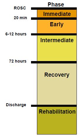 Care Phases Immediate: First 20 minutes after return of spontaneous circulation (ROSC). Early: 20 minutes to 6-12 hours: early intervention is most effective.