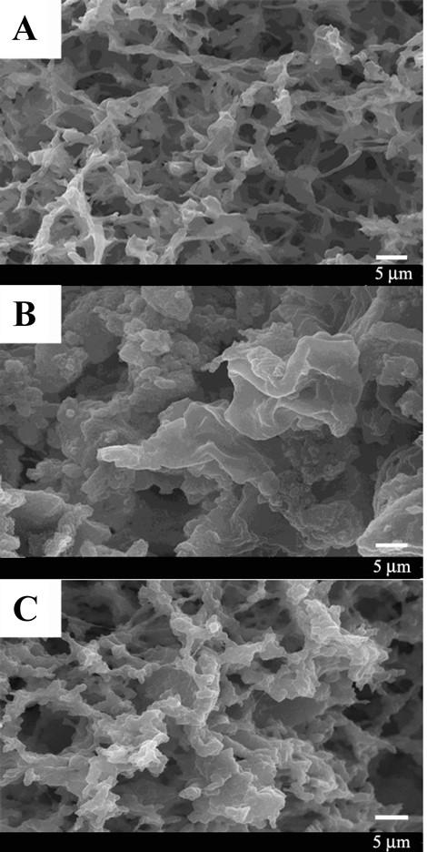 57 Figure 3.5 Scanning electron micrographs of lentil protein gels prepared at ph 3.0 (A), ph 5.0 (B) and ph 7.0 (C). The protein sample was extracted at ph 9.0. 3.3.3.3 Foaming properties The ph dependence of the foaming capacities (FC) of the lentil protein extracted at ph 8.