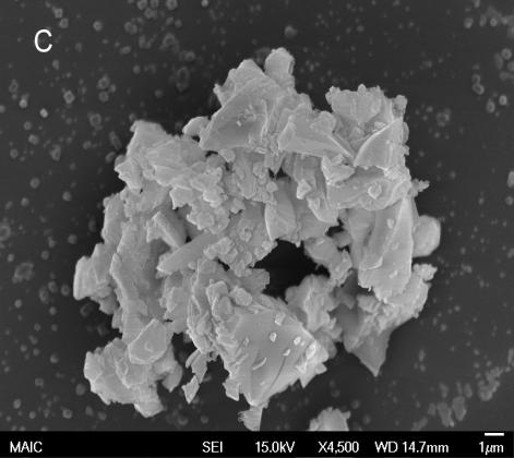 and palmitic acid monolayer at 20 C after 24 h over a calcium phosphate subphase at 35 mn/m A) and