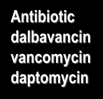 C55 PBP Antibiotic dalbavancin