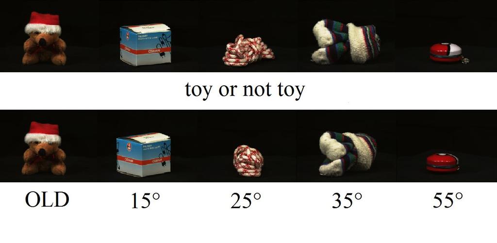 Figure 2. Example stimuli. During encoding participants will be shown a continuous stream of objects (top row).