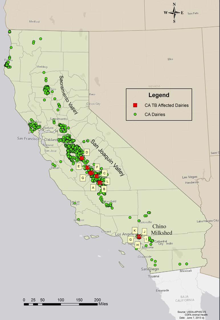 Location of the 11 Affected Dairy Herds in California 7 in Central Valley Mycobacterium bovis in California
