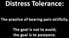 Distress Tolerance: Creating Space Between Stimulus & Response Harm Reduction model Emphasis on widening your window of