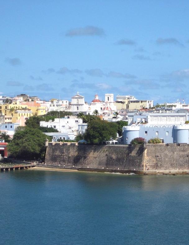 Puerto Rico Asthma Surveillance Report 29 Puerto