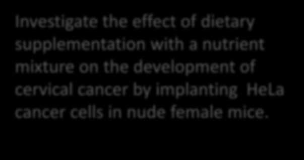Study objective Investigate the effect of dietary supplementation with a nutrient mixture on the development of cervical cancer by implanting HeLa cancer cells in nude female mice.